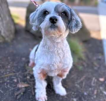 Photo of Lumi