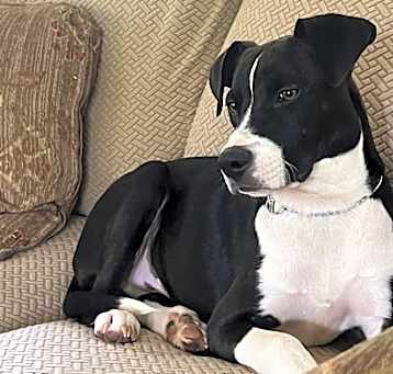 Photo of JoJo