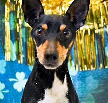 Photo of Paco