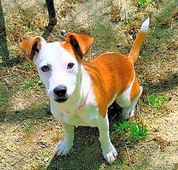 Photo of Misty