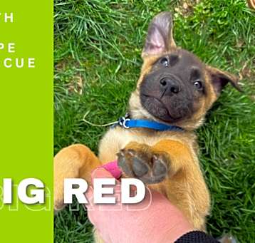 Photo of Big Red