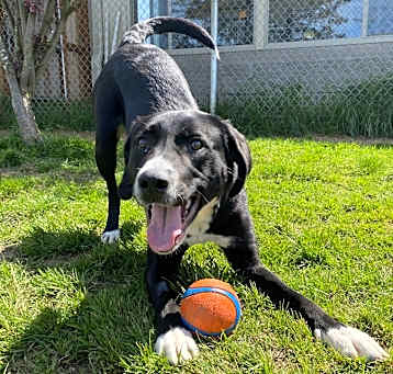 Photo of JuneBug