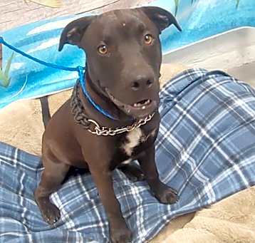 Photo of BANJO
