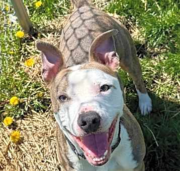 Photo of Zeus