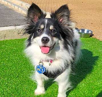Photo of Tug