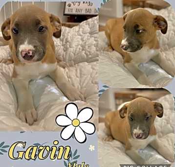 Photo of Gavin meet me 5/31