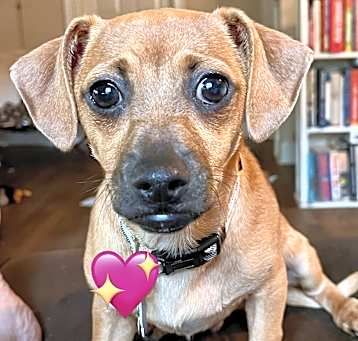 Photo of Titus