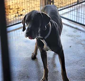 Photo of Chrome