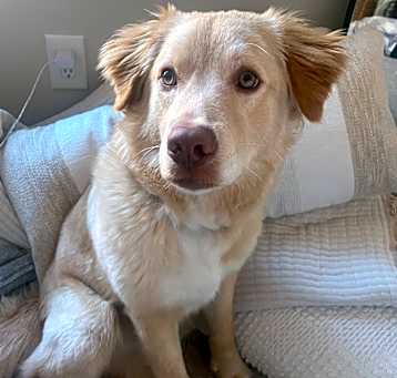 Photo of Butter