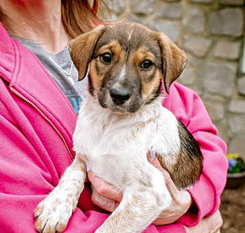 Photo of Tilly