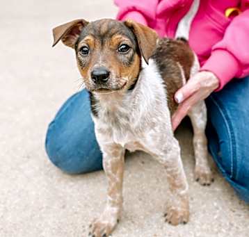 Photo of Millie