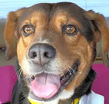 Photo of TIPPY