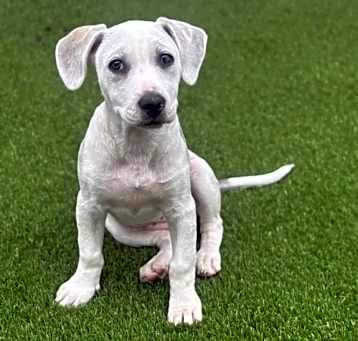 Photo of Buffy