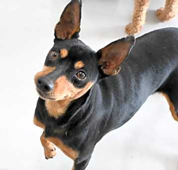 Photo of Nox