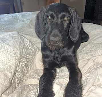 Photo of Jamison