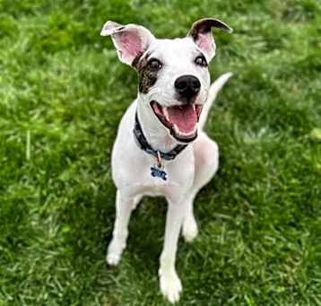 Photo of Meg