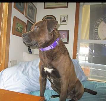Photo of Gus