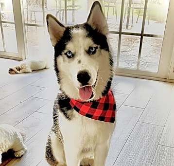 Photo of Blue