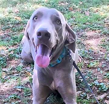 Photo of ONIX