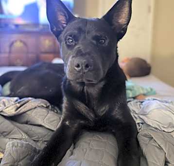 Photo of Zeus