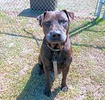 Photo of BRONX