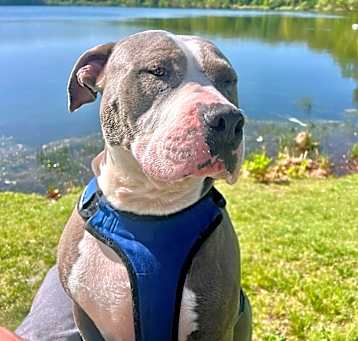 Photo of Big Daddy - Local