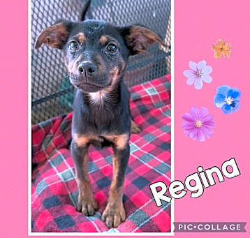 Photo of Regina