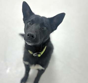 Photo of Bento