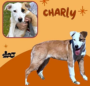 Photo of Charly