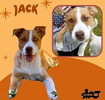 Photo of Jack