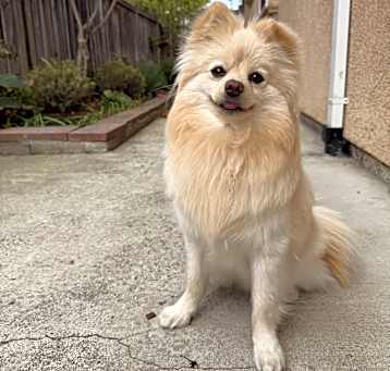 Photo of Bella