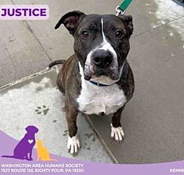 Photo of Justice