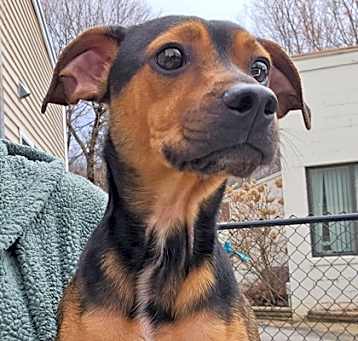 Photo of Jeter