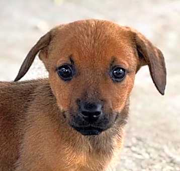 Photo of Knox