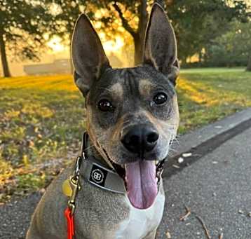 Photo of Lex