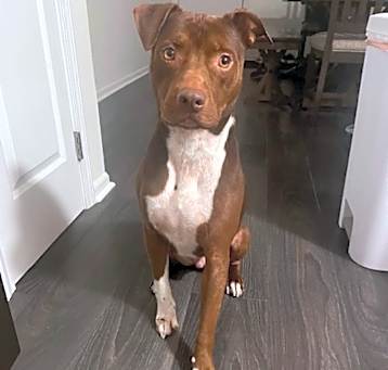 Photo of Maverick