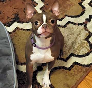 Photo of Lulu