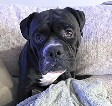 Photo of Mister