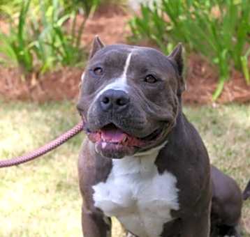 Photo of Sugar