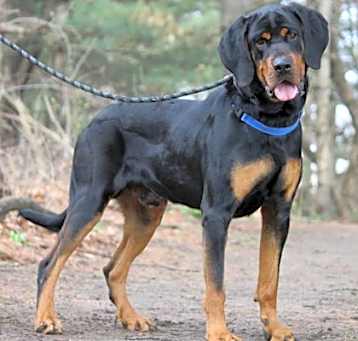 Photo of Tayson