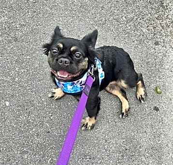 Photo of Bailee