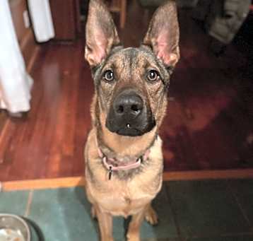 Photo of Atlas