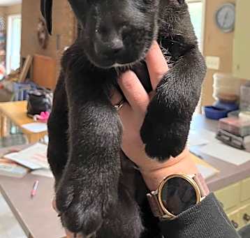 Photo of Murphy