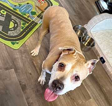 Photo of Winnie