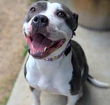 Photo of Bella LHC