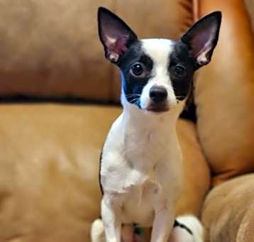 Photo of Sprout