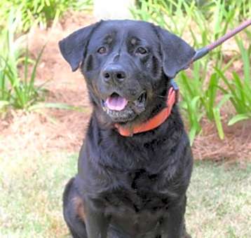Photo of Big Buddy Bozier