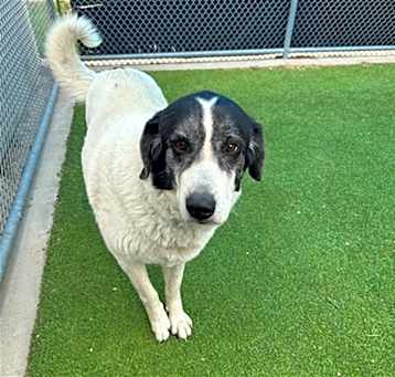 Photo of COOKIE