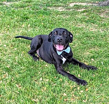 Photo of Kenan