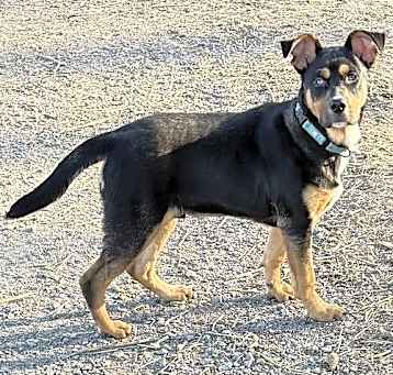 Photo of Chapa
